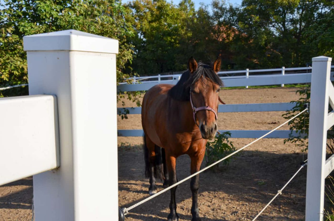 Jezdecký areál Stará pošta